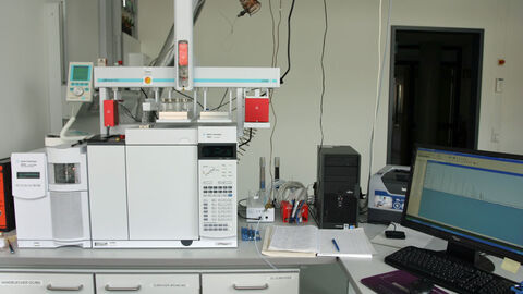 Gaschromatograph