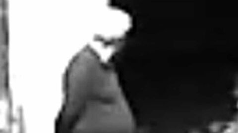 Unbekannte Täter verschaffen sich unbefugten Zutritt in eine Lagerhalle