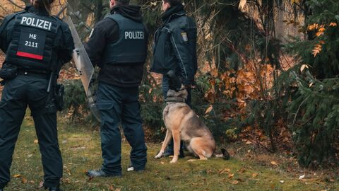 Diensthunde bei der Übung mit ihren Diensthundführerinnen und -führern