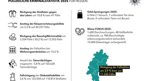 Factsheet PKS 2025 Nr. 1, Listung von Fallzahlenentwicklungen verschiedener Kriminalitätsbereiche, insgesamt Rückgang der Fallzahlen um 2,9%