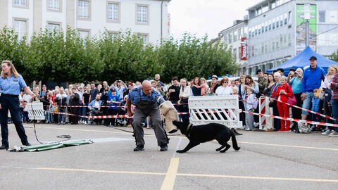 Tag der Blaulichtfamilie am 5. September 2026 in Kassel; Foto zur Veranstaltung
