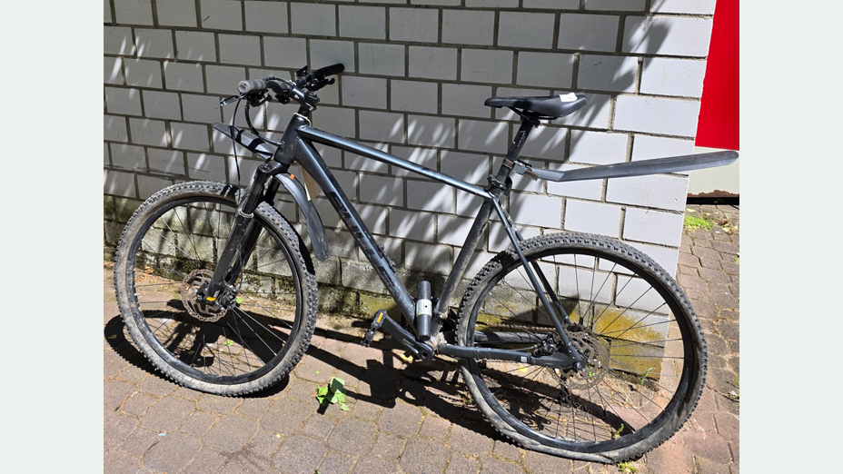 Mountainbike Bulls